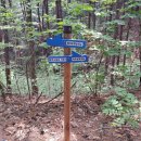 원주굽이길 16코스 매지순환둘레길 이미지