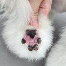 트윈퍼피 이미지