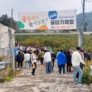 창천감귤농장