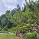 가평솔마당 이미지