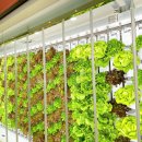 굿스터프 이미지