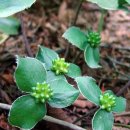 희희낙낙 이미지