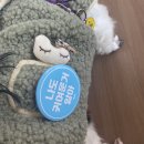 펫콤동물병원