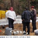 강정동-66 이미지