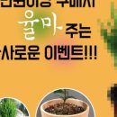행복샵