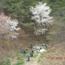 곤명주유소 Daum카페