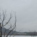 오크밸리 드라이빙레인지 이미지