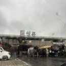 대정읍 매일시장 뒤 | 엄마미와 함께한 제주도여행 2일차🍊🍊