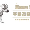 주바리즘 이미지