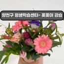대조동 자치회관 2층 다목적실 | 양천구 평생학습센터 - 꽃꽂이 수강 (평생학습포털)