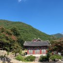 표충사 Daum카페