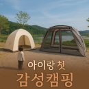 도안로 | 아이와 함께 간 단밀캠핑장! 바람 좋은 날 힐링 완료🌿