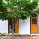 향림오토캠핑장 이미지