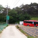 영천시 경계 도로옆 이미지