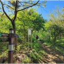 제암산 곰재화장실 이미지