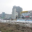 선기로1-5 이미지