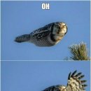 미사강변중앙로 이미지