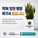 심양행정사 네이버블로그