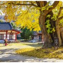 영광향교 이미지