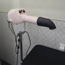 상주목욕탕 | 해운대 애견무인셀프목욕탕 씻기개깎이개