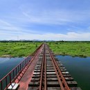 비비정예술열차 이미지