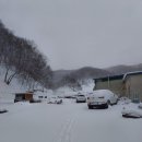 숲속산양목장 이미지