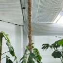 고고농장2 이미지