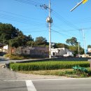 효동1리 이미지