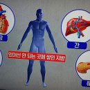 제3 지방 조명/피하지방/내장지방/콜레스테롤/중성지방/기치유센터 이미지