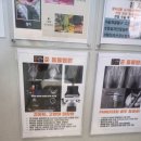 준동물병원 | 광진구 자양동 준동물병원 설이 심장 정기체크 후기