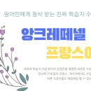 프랑스어 회화와 문법 / DELF 시험 대비