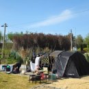 (주)승리자동차 | 여주 바베큐&amp;비원캠핑장 솔직후기 키즈시설, 애견동반 가능, 얼리체크인, 레이트체크아웃