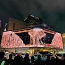 타운(영프라자) | 파사드 크리스마스 가볼만한곳 신세계 원더랜드 팝업 롯데백화점 트리 주말 방문 놀거리 후기 및 꿀팁