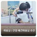 앙꼬네 미용실 | 안양 애견미용 추천｜댕며들개, 겁 많은 강아지도 편안한 미용 (펫 마음카드 프로그램 소개)