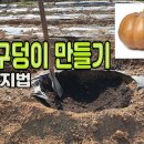 호박 구덩이 만들기 이미지