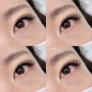 하비래쉬