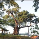 수산리-1 이미지