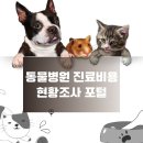 박효리군 동물병원 | 반려동물 병원비, 이렇게 비교하면 돈 아낄 수 있어요!
