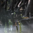 秀기획