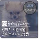 건우동물병원 네이버블로그