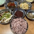 춘춘갈매기