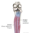 그랜드헬스 이미지