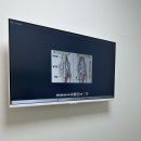 [하남/송파] 위례 동물 병원, 위례 애견미용 “더포레동물병원” 방문후기