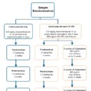 온새동물의료센터 이미지