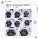 마이티 그루밍 이미지