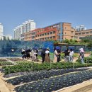 인천광역시농업기술센터 웹이코노미