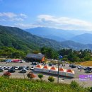 엑스포카센타 이미지