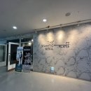 더소마틱피티