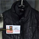 스쿠터꽃 이미지