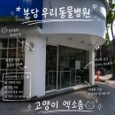 분당 우리동물병원 고양이 펫소좀 엑소좀 접종 효과